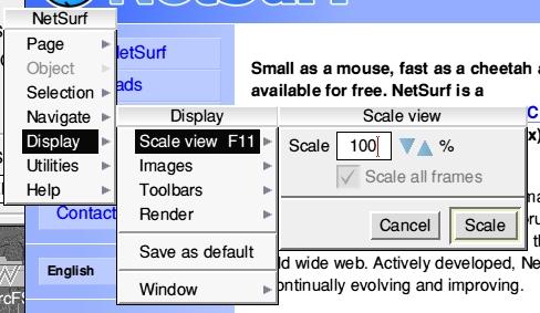 display_scale.jpg - 33Kb