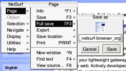 page_fullsave.jpg - 28Kb