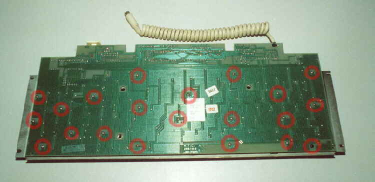 A310kboard_5.jpg - 24Kb